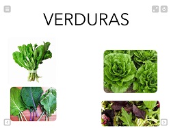 Verduras e legumes  Jogo da memoria frutas, Frutas para colorir, Atividades